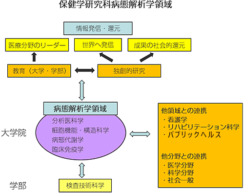 病態解析学領域